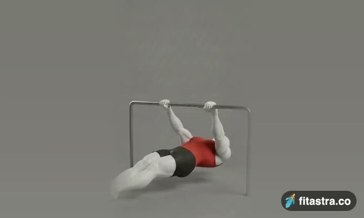 Inverted Row: demonstration