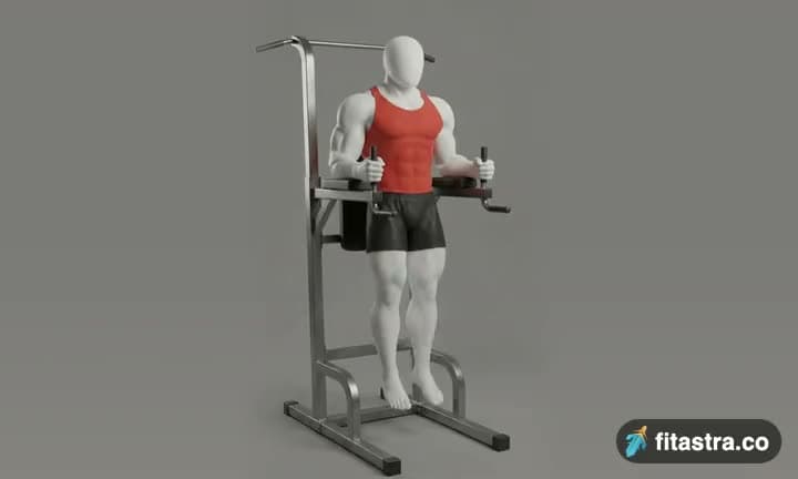Knee/Hip Raise On Parallel Bars: demonstration