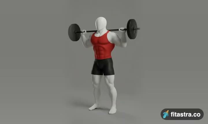 Barbell Full Squat: demonstration