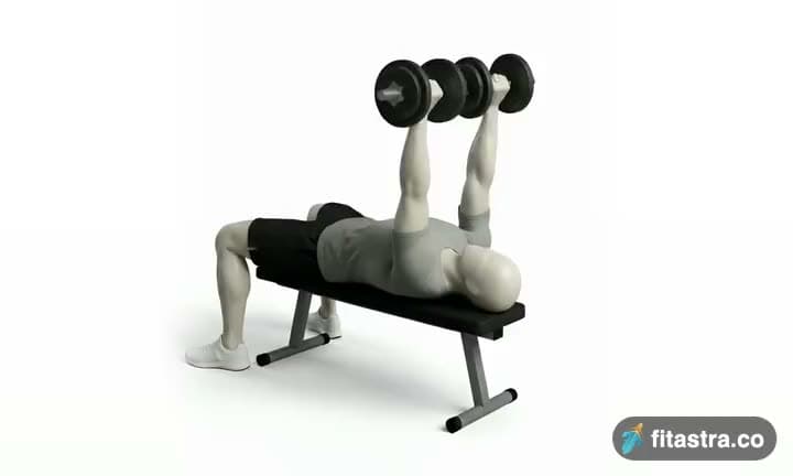 Dumbbell Bench Press: demonstration