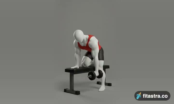 One-Arm Dumbbell Row: demonstration