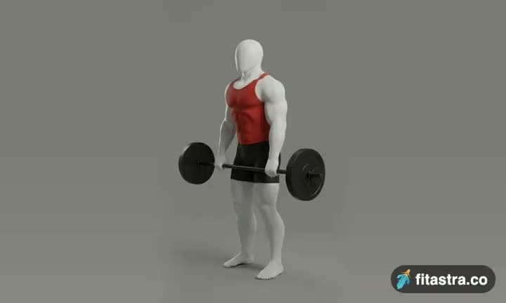 Stiff-Legged Barbell Deadlift: demonstration