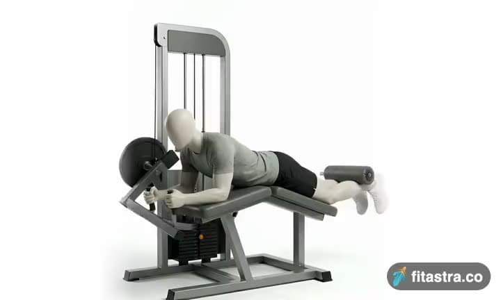 Lying Leg Curls: demonstration