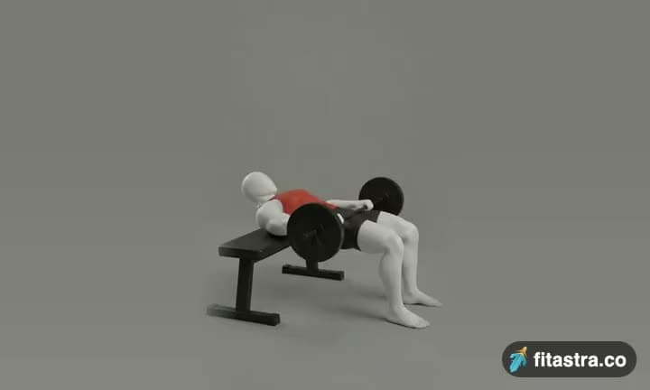 Barbell Hip Thrust: demonstration