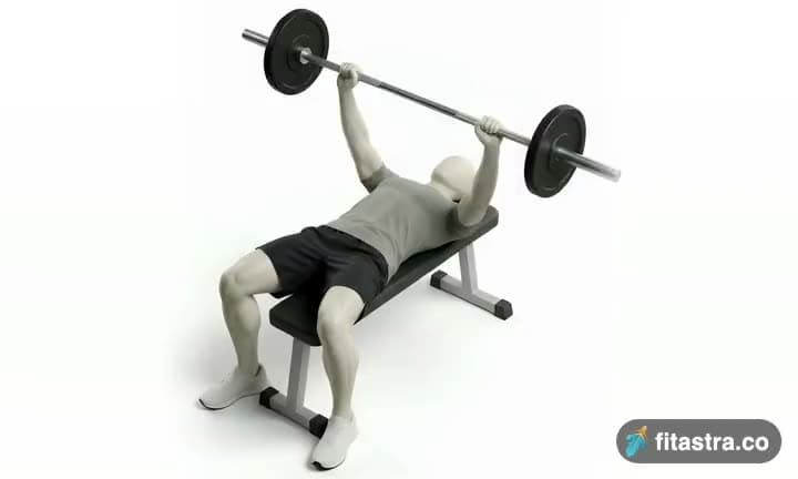 Barbell Bench Press - Medium Grip: demonstration